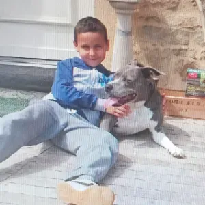 Pet sitter de confiance en Île-de-France 