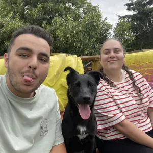 La nounou de vos boules de poils