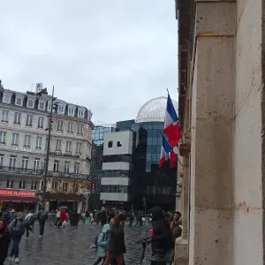 Volunteering and part-time work in horse and cow care