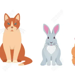 Nounou pour animaux près de Chalon -sur-Saône