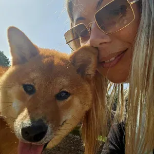 Pet sitter sur la Cote fleurie 