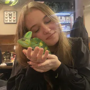 Babysitter francesa em Penafiel !!!!