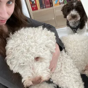 Recherche pet sitter pour deux chiens 