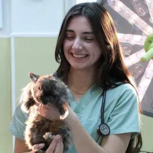 Pet-Sitter sur Grasse -Cannes 