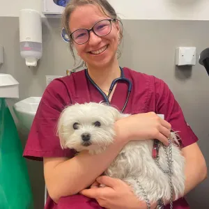 Etudiante vétérinaire, animal-sitter avec expérience