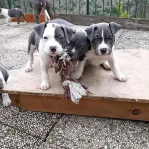 buongiorno mi chiamo Barbara, mi rendo disponile per portare