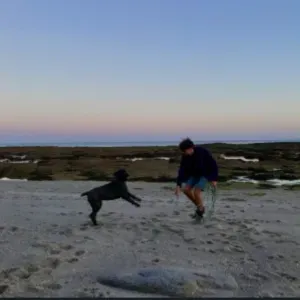 Aide au devoir / Accompagnement éducatif - social