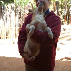 Pet Sitter pour chat et rongeurs vers Cachan 