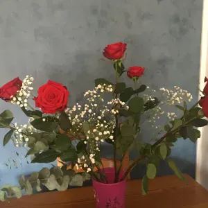 Assistante maternelle agréée disponible