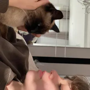 Pet-sitter à Paris (chat, chien et autre)