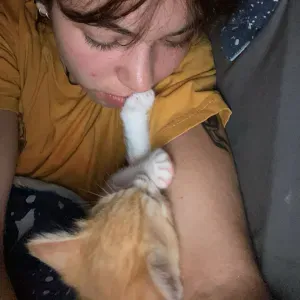 Pet-sitter/ pet-nounou à montpellier 