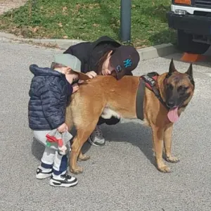 Dog-sitter sur bouche du rhone