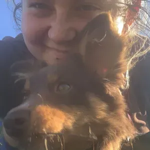 Pet-Sitter -94000 et alentours :)