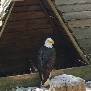 Aide, accompagnement auprès des personnes 