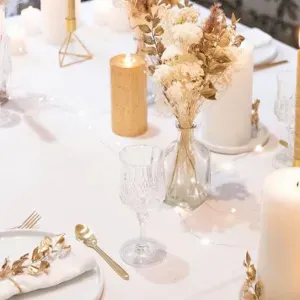 Une petsitter beaucoup trop gaga !