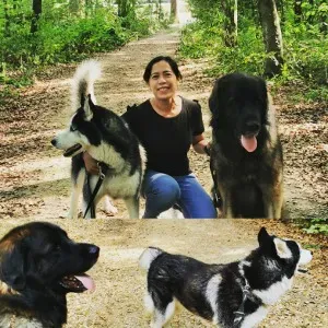 Baby sitter looking for a job punctual ang reliable 