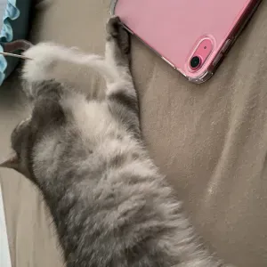 expérimente de 1ans j'adore  enfants