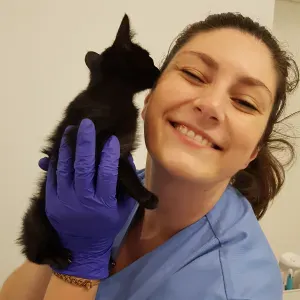 PET SITTING EM SINTRA! 