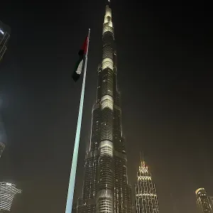 Nouveau Pet-Sitter à Saint-Etienne 