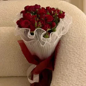 Baby-sitter expérimentée dans le Haut-Rhin 