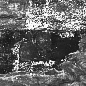 Addetta alla pulizia negli appartamenti privati