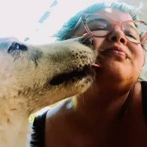 Dog sitter con certificazione e esperienza pluriennale