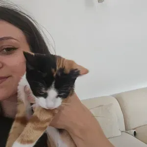 Pet-sitter du Val de Marne/Paris 