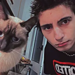 Pet sitting no Porto cães, gatos e outros