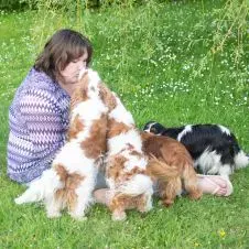 Aide à domicile dans l'avesnois