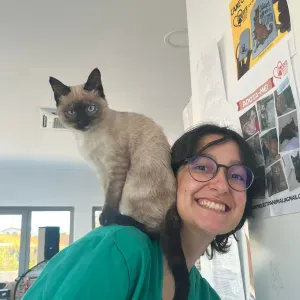 Pet Sitting em Lisboa desde 2 a 4 patas