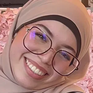 Prof particulier d'anglais et d'allemand  Saint-Louis etc 