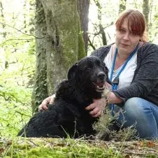 Femme de ménage autour de la Guerche de Bretagne