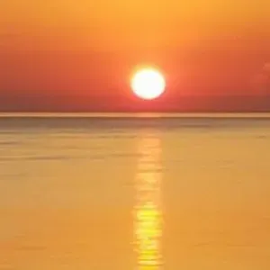 Cercasi pulizie