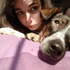 Serviços a animais de estimação, zona da beira baixa 