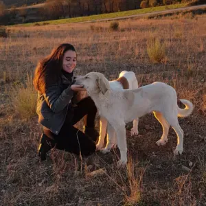 La maison des chiens heureux à Poissy
