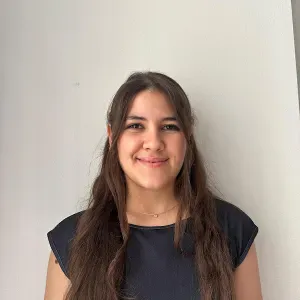 Femme de ménage en île de france 