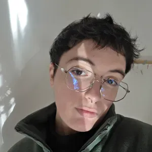 Pet-sitter à domicile, balade etc.