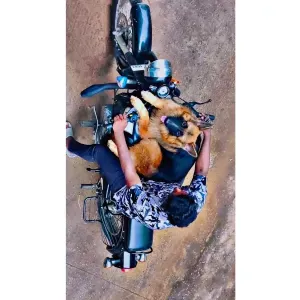 Pet sitter who is Reliable & Caring in Paris