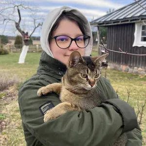 Įvairių gyvūnų priežiūra senamiestyje!