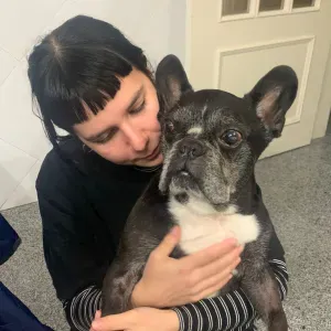 Petsitting em Lisboa e arredores! 🐾✨