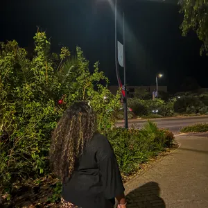 Pet-Sitter à Hyères et au alentours 