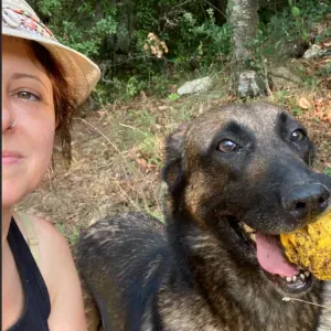 Garde et promenade d'animaux sur Gardanne