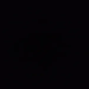 ¡Cuidadora de mascotas en Elda! Amor y cuidado en mascotas