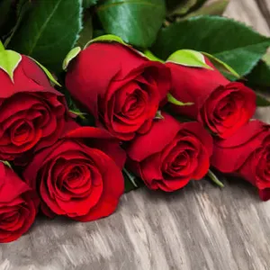 Aide ménagère chez particulier