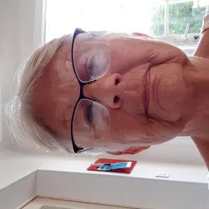 Garde d'animaux  jardin cloturé promenade tous les jours