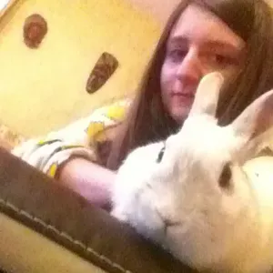 Une nounou pour vos animaux