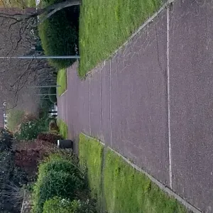 Femme de ménage femme de ménage 