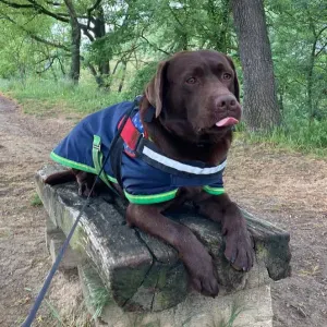 Pet sitter à Toulouse ! Avec moi vos animaux sont au paradis