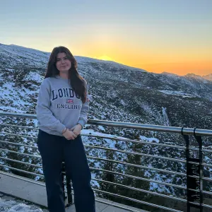 Pet sitting services and walking dogs