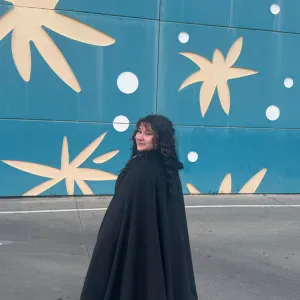 Pet sitting na cidade da Covilhã 